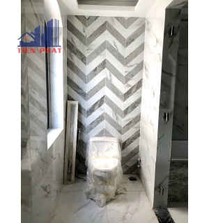 Biệt thự Phú Mỹ Hưng Quận 7