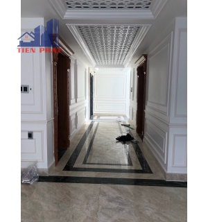 Biệt thự Phú Mỹ Hưng Quận 7
