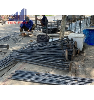 Nhà phố huyện Nhà Bè TP.HCM 1 hầm 4 tầng 550m2